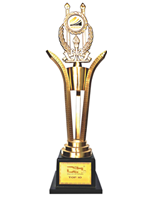 Cup vàng thương hiệu