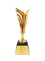 Cup vàng thương hiệu